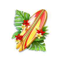 Bikini Paradise 5 Bikini Paradise กระดานโต้คลื่น