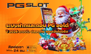 ข้อตกลงและเงื่อนไข 5 ระบบฝากและถอน PG ออโต้